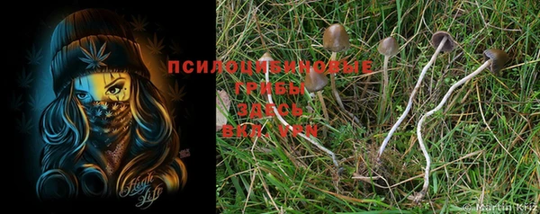 мефедрон мука Богданович