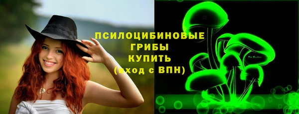 соль курить ск Богородск